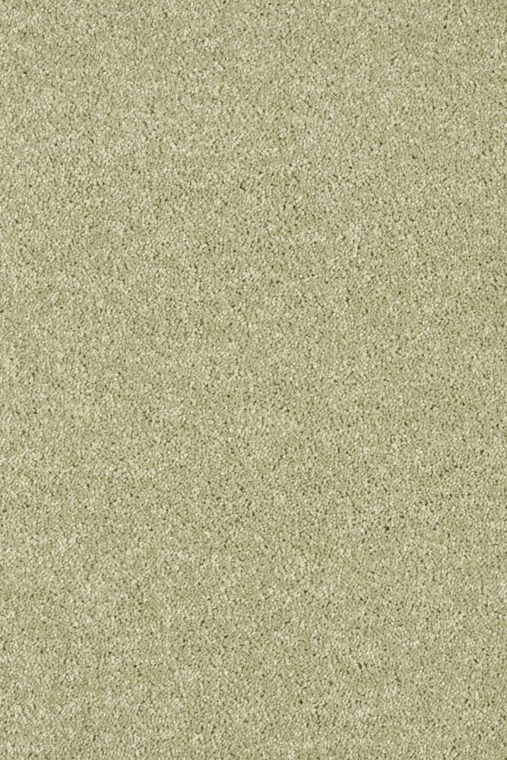 Vista 24